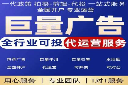 竞价托管服务案例解析